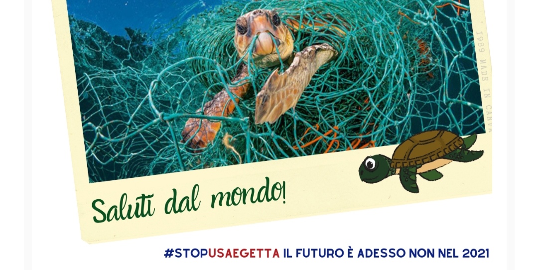 #StopUsaEGetta: al via la campagna di Zero Waste Italia, MDF e Italia Che Cambia