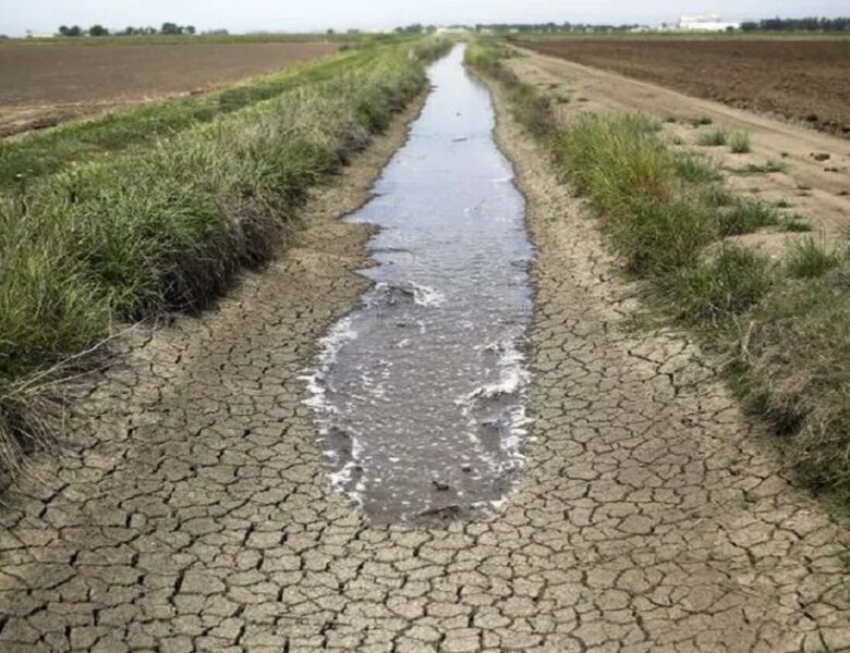 Acqua e siccità, bene comune tra diritti e ambiente